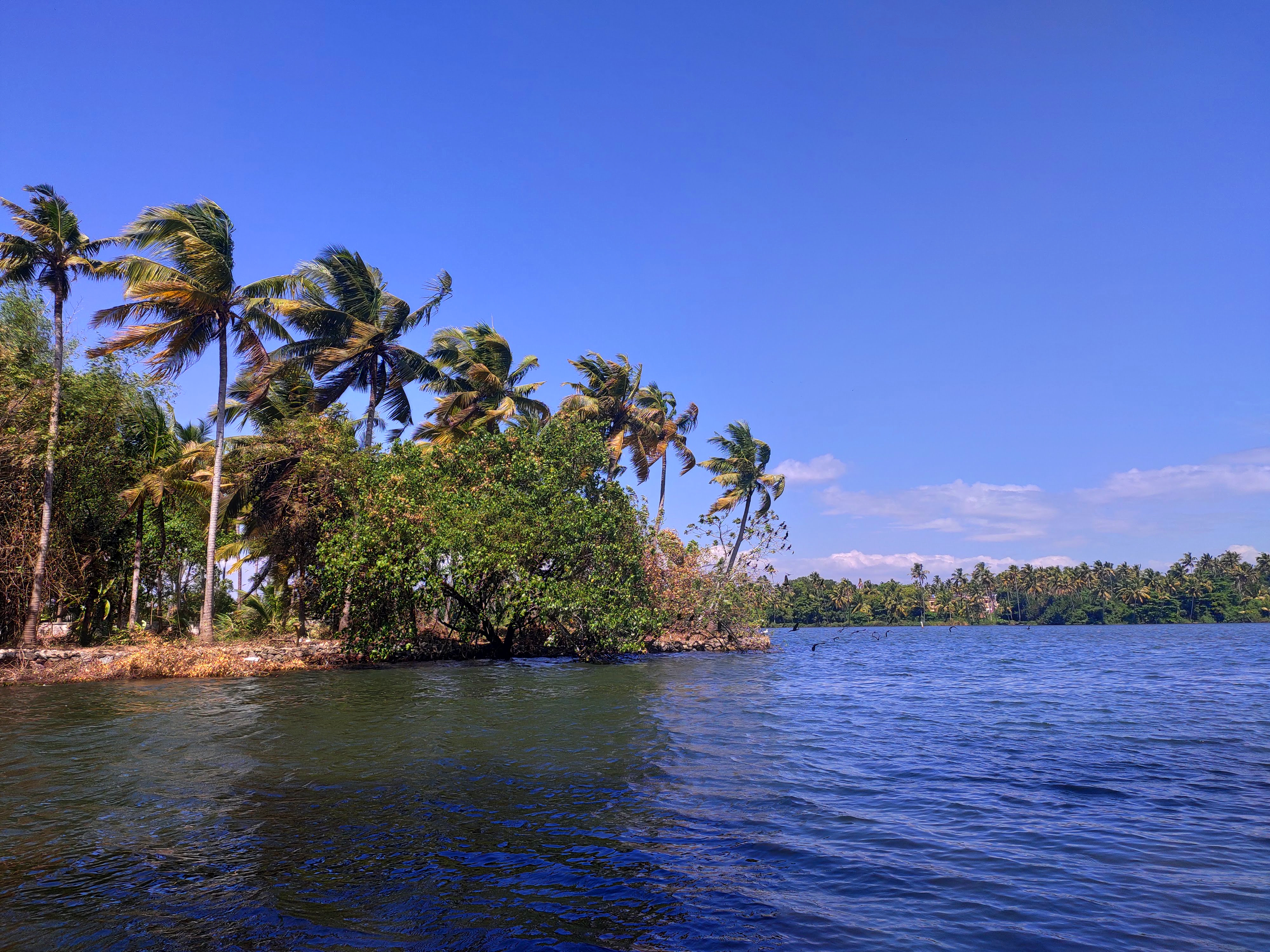 Kappil Beach, Varkala, Kerala